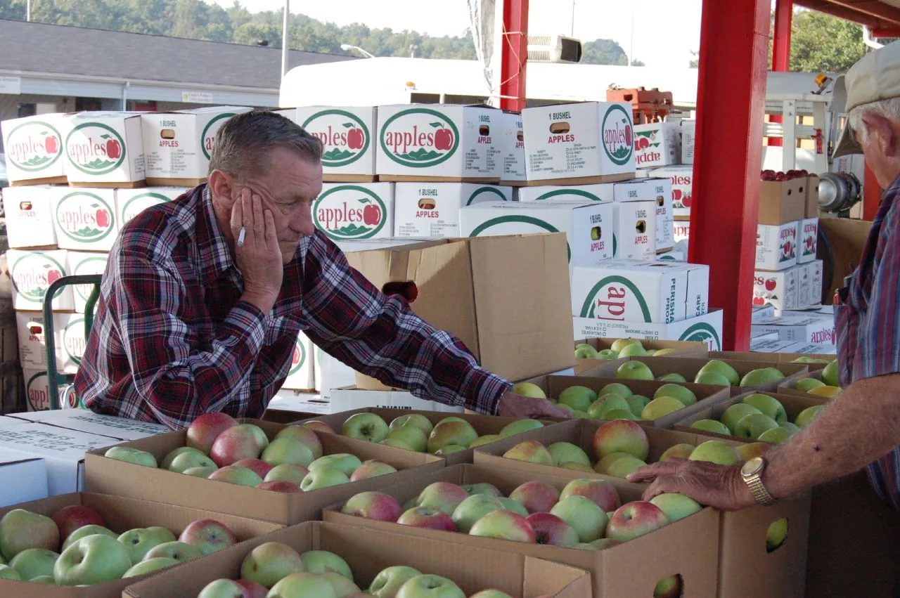 A grower sells apples at a farmers market in Asheville, N.C.