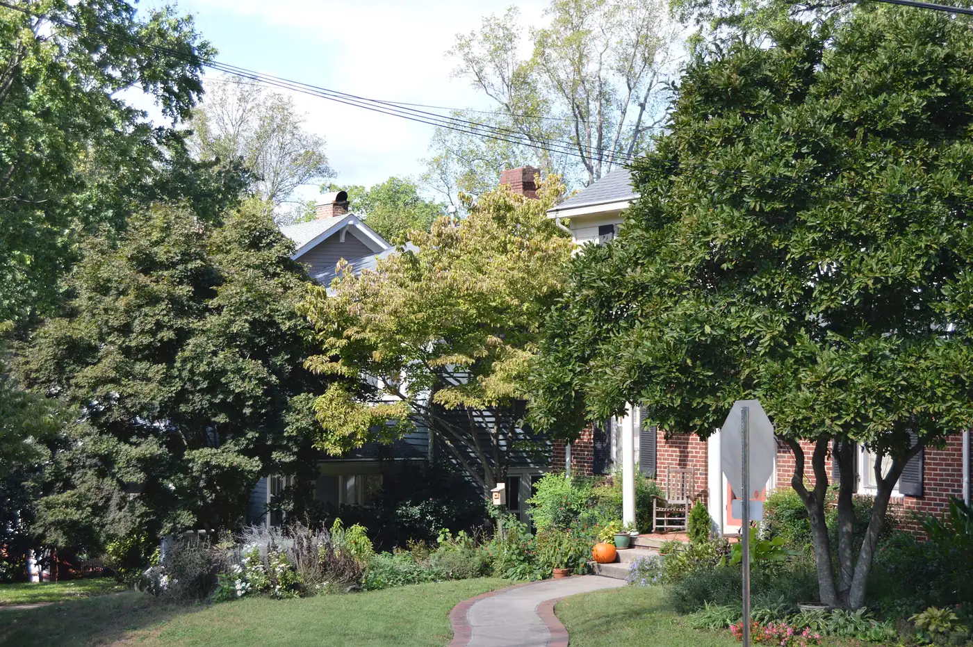 Houses on Cascade Avenue near Park Avenue in the Washington Park neighborhood of Winston-Salem.