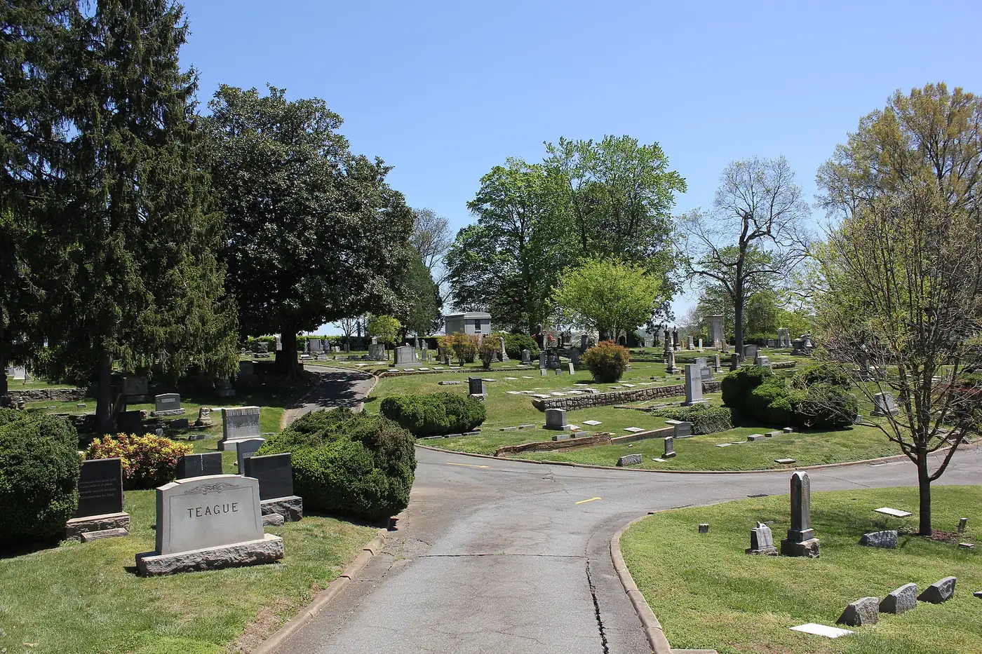 Headstones and spring trees along the drives of Salem Cemetery in Winston-Salem.